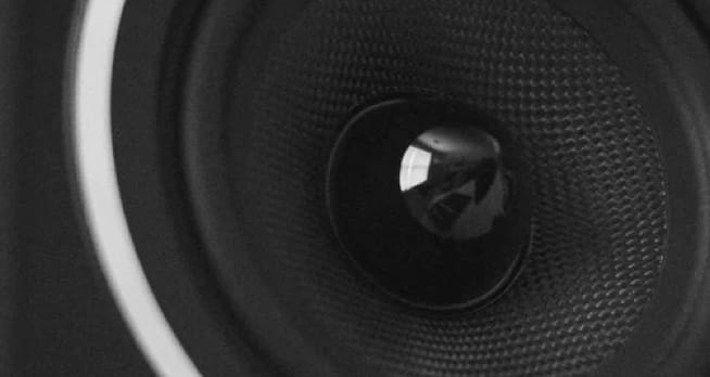 a zoom of the zx7 speaker