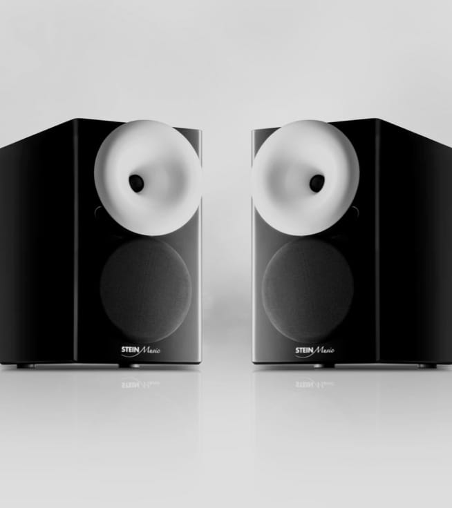 two ZX9 speaker